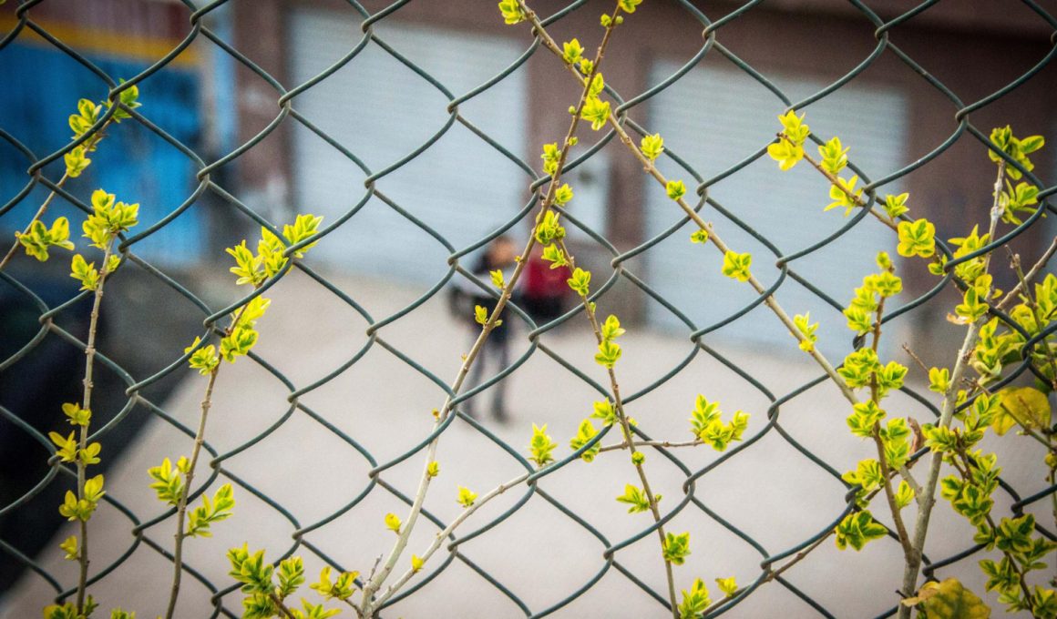 Cum se fixează plasa de sârmă pe stâlpi?