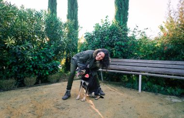 Poate un pet sitter din București să te ajute să corectezi comportamentele nedorite ale câinelui