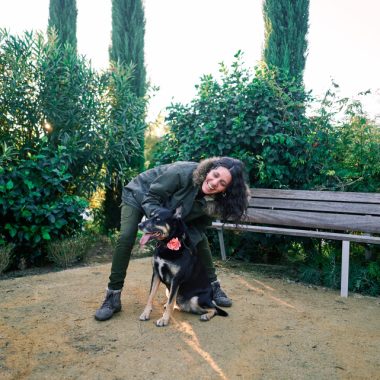 Poate un pet sitter din București să te ajute să corectezi comportamentele nedorite ale câinelui