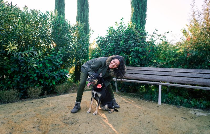 Poate un pet sitter din București să te ajute să corectezi comportamentele nedorite ale câinelui